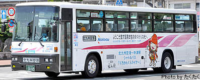 KC-MS829P