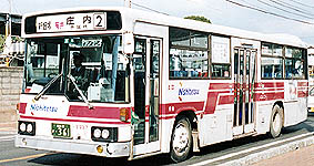 P-MP218M